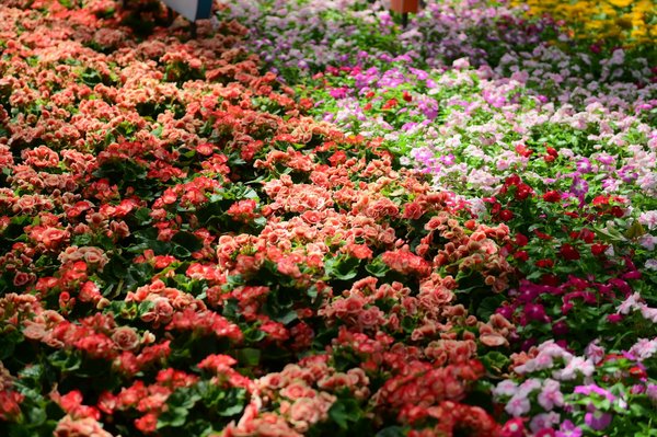 Transformer votre terrasse en espace de vie extérieur